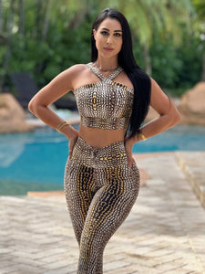 Golden Crocodile Set