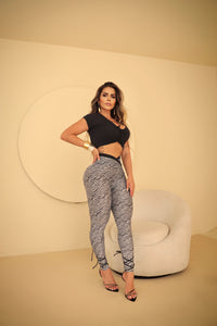 New Black Zebra Set