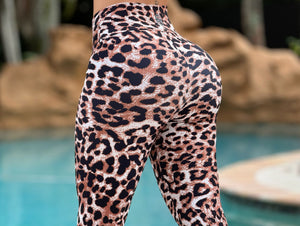 Nova Leopardo Leggings (Yoga)*