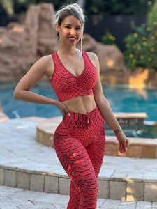 Red Viper Snake Set